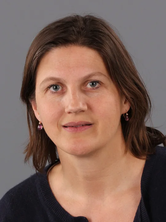 B.F.M. Slangen