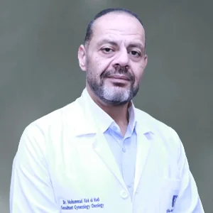 Mohamad Abdel-Hadi