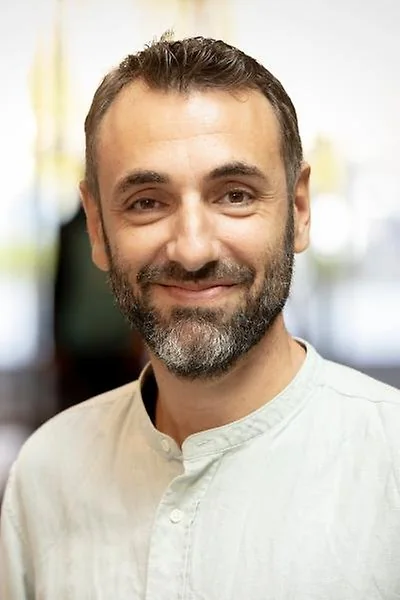 Stavros Iliadis