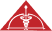 Sri Ramachandra Medical College & Research Institute logo